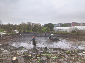 昌图河道鱼塘清淤